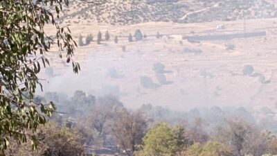 Mardin’in Midyat ilçesinde ormanlık alanda çıkan yangın, ekiplerin müdahalesiyle söndürüldü.
