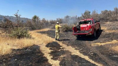 Mardin’in Savur ilçesinde ormanlık alanda çıkan yangın, ekiplerin müdahalesiyle söndürüldü.