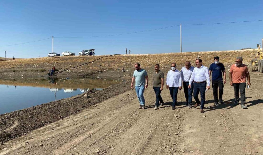 Mardin’de kuruyan gölette temizlik ve ıslah çalışması Mardin’in Mazıdağı ilçesi Şanlı Mahallesi’nde bulunan ve gölet olarak kullanılan
