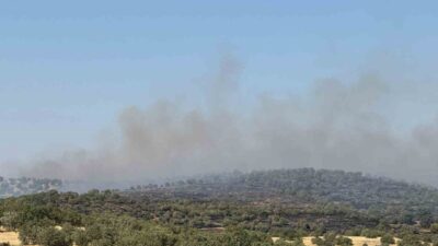 Mardin’in Savur ilçesinde ormanlık alanda çıkan yangına ekiplerin müdahalesi devam