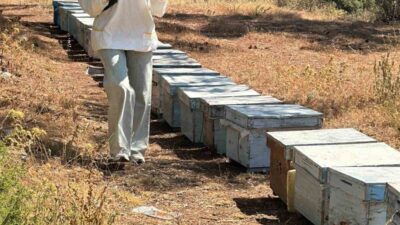 Muğla’nın Menteşe ilçesinde Tarım ve Orman Müdürlüğü ekipleri tarafından 2025