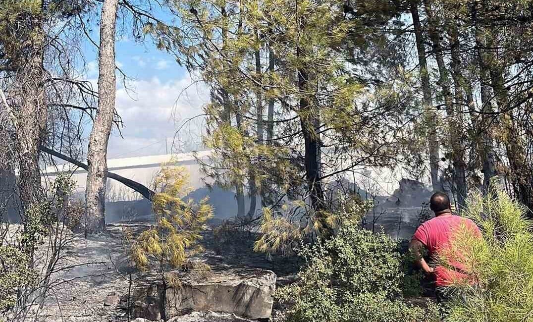 Menteşe’deki yangın kısa sürede söndürüldü Muğla’nın Menteşe ilçesinde trafoda başlayan ve ormanlık alana sıçrayan yangın