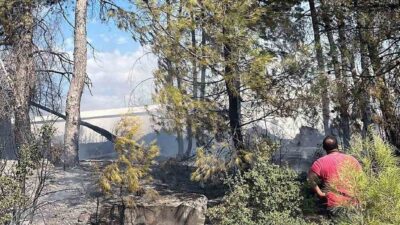 Muğla’nın Menteşe ilçesinde trafoda başlayan ve ormanlık alana sıçrayan yangın