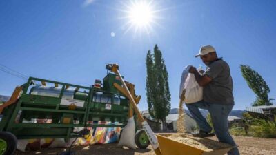 Mersin Büyükşehir Belediyesi, kırsal üreticilere yönelik tarımsal desteklerine bir yenisini