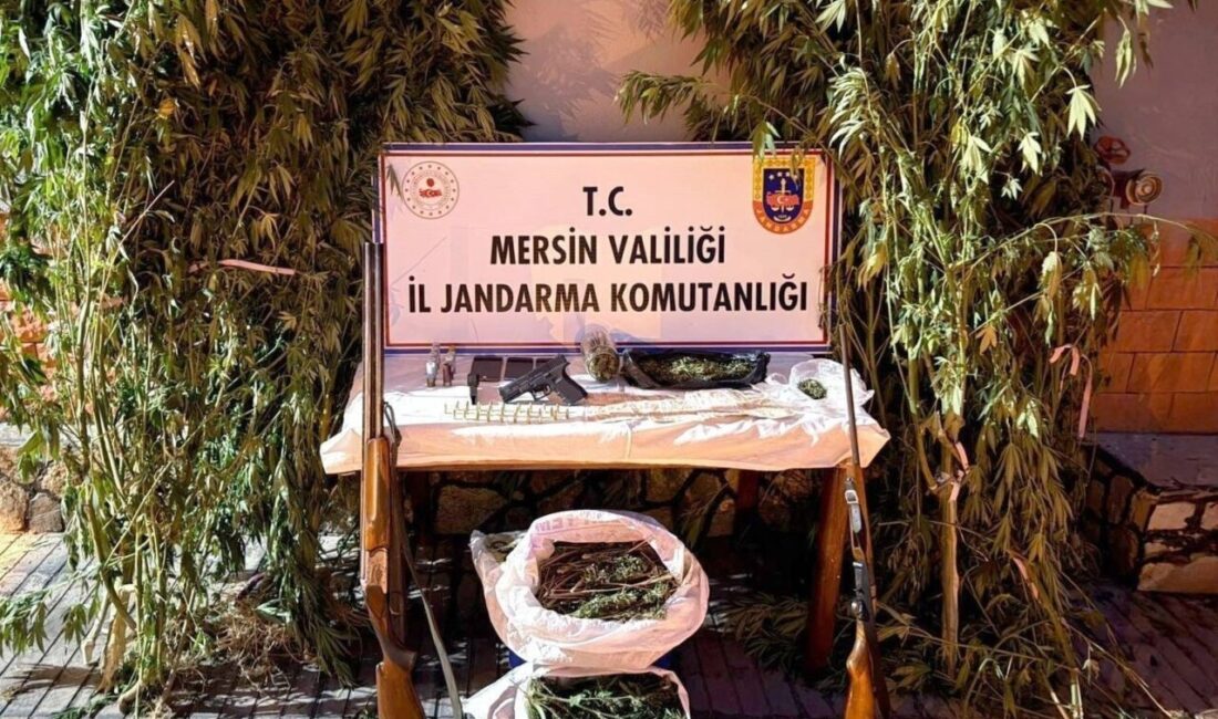 Mersin’de bahçelerine kenevir eken 3 şüpheli yakalandı Mersin’de jandarma ekiplerinin düzenlediği operasyonda uyuşturucu madde üretmek için kenevir