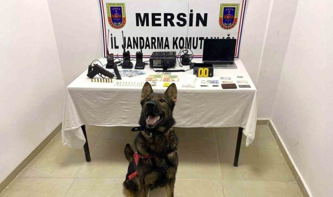 Mersin’de jandarma ekiplerince uyuşturucu madde ticareti yapan şahıslara yönelik düzenlenin