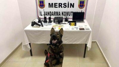 Mersin’de jandarma ekiplerince uyuşturucu madde ticareti yapan şahıslara yönelik düzenlenin