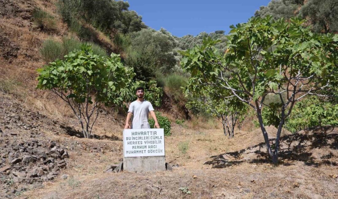 Mezar taşı değil, ‘herkes yesin’ uyarısı Aydın’da pek çok ürünün hasat sezonunda çiftçilerin en büyük sıkıntısı