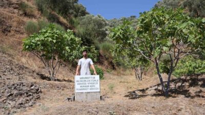 Aydın’da pek çok ürünün hasat sezonunda çiftçilerin en büyük sıkıntısı