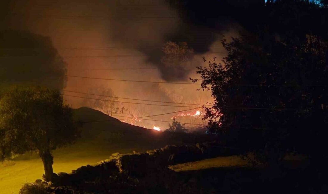 Muğla’nın Milas ilçesine bağlı Çomakdağ Mahallesi’nde çıkan sazlık yangını, ekiplerin