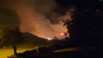 Muğla’nın Milas ilçesine bağlı Çomakdağ Mahallesi’nde çıkan sazlık yangını, ekiplerin