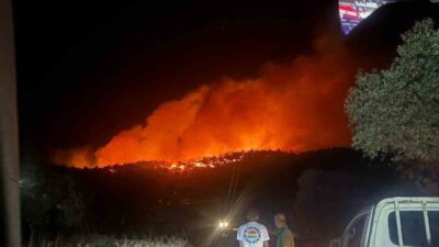 Muğla’nın Milas ilçesine bağlı Kıyıkışlacık Mahallesinde meydana gelen orman yangınına