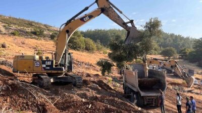 Ankara Üniversitesi Teknokent’te yürütülen Ar-Ge projesinde taşınan 9 zeytin ağacının