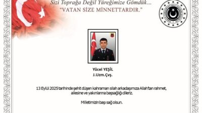 Milli Savunma Bakanlığı (MSB), trafik kazası sonucu şehit olan Jandarma