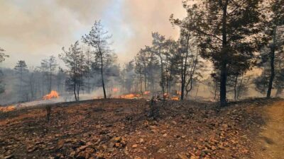 Milas’ın Kıyıkışlacık, Köyceğiz’in Pınarköy ve Akköprü bölgelerinde etkili olan yangınlara