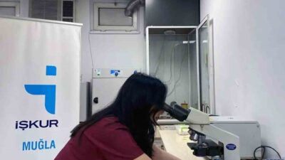 İŞKUR Muğla İl Müdürlüğü, 2025 yılının ilk sekiz ayında 12