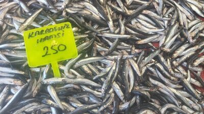 Muğla’da balık sezonunun açılmasıyla birlikte Karadeniz hamsisi tezgahlarda yer aldı.