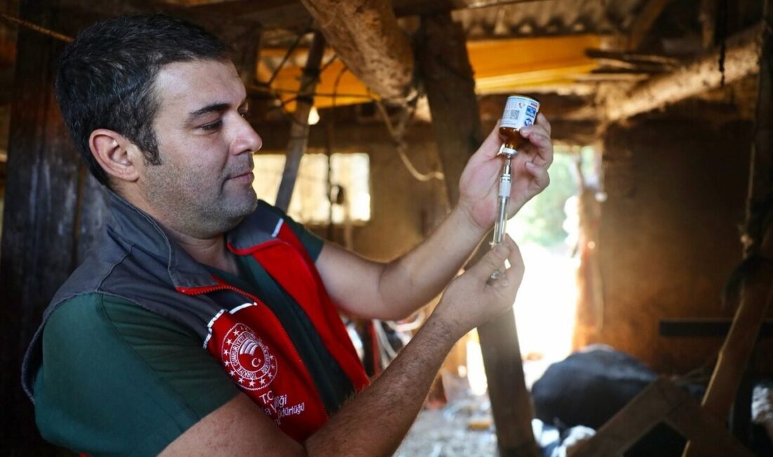 Muğla genelinde şap hastalığına karşı yürütülen aşılama ve bilgilendirme çalışmaları