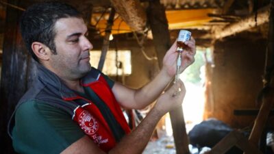 Muğla genelinde şap hastalığına karşı yürütülen aşılama ve bilgilendirme çalışmaları