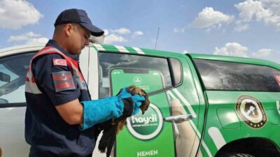 Muş’un Hasköy ilçesi Yukarıüçdam köyünde önleyici kolluk devriyesi sırasında yaralı