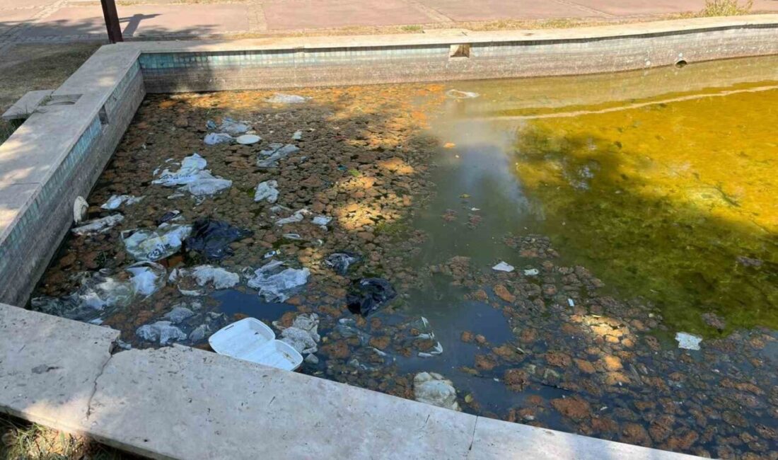 Nevzat Biçer Parkı bakımsızlıktan kullanılmaz hale geldi Aydın’ın Efeler ilçesinde şehir merkezinde bulunan Nevzat Biçer Parkı, bakımsızlık