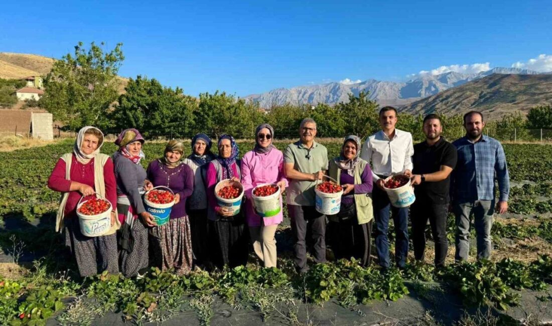 Niğde’de çilek hasadı bereketi Niğde Valisi Cahit Çelik, eşi Nermin Çelik ve Ulukışla Kaymakam