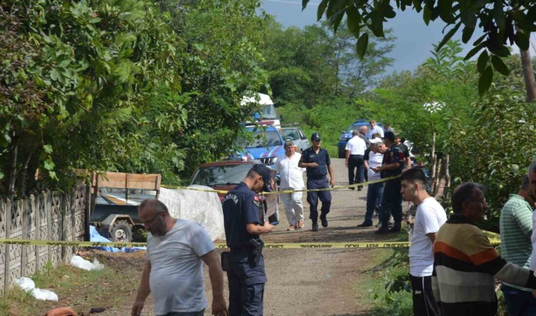 Ordu’da bacanaklar arasındaki ’su gideri husumeti’ cinayetle sonuçlandı: 2 ölü Ordu’nun Ünye ilçesinde bacanaklar arasında “su gideri” yüzünden çıkan tartışma