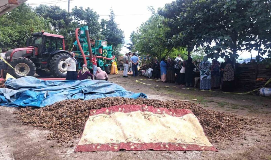 Ordu’da silahlı saldırı: 2 ölü Ordu’nun Ünye ilçesinde çıkan silahlı kavgada 2 kişi hayatını kaybetti.