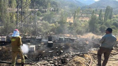 Muğla’nın Menteşe ilçesi Gevenes Mahallesinde akşam saatlerinde çıkan yangınında arı