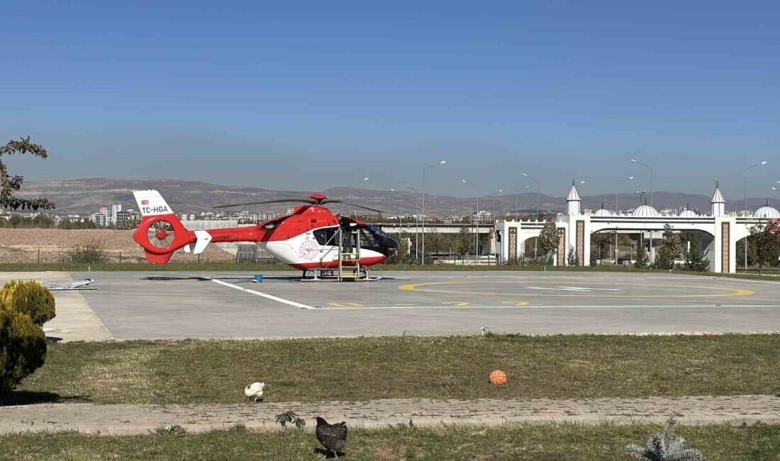 Ormanda ayı saldırısına uğradı, tedavi altına alındı Sivas’ta kaybolan hayvanlarını ormanda arayan kadına ayı saldırdı. Edinilen bilgilere
