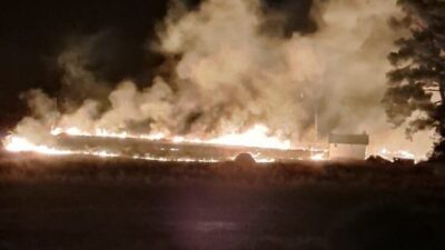 Muğla’nın Marmaris ilçesinde ormanlık alana yakın bir mesafede çıkan yangın