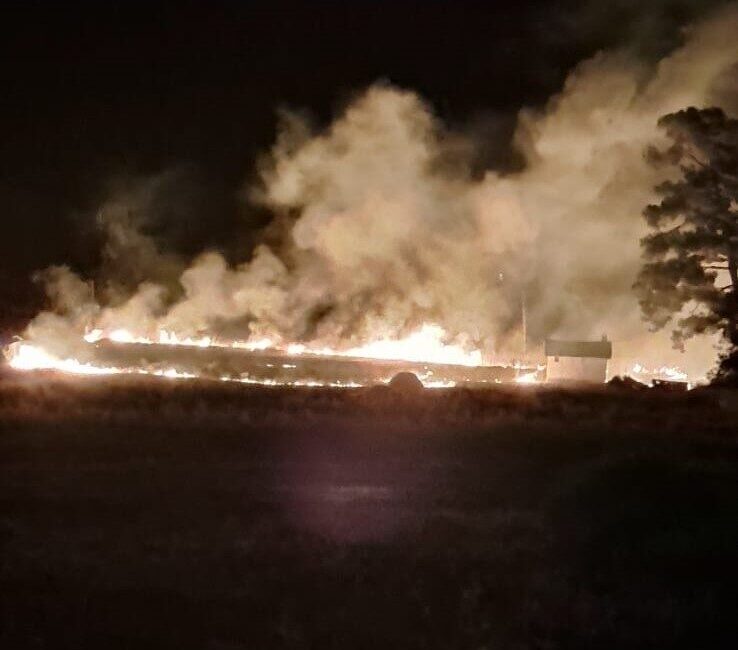 Ormanlık alana yakın mesafede yangın çıktı Muğla’nın Marmaris ilçesinde ormanlık alana yakın bir mesafede çıkan yangın