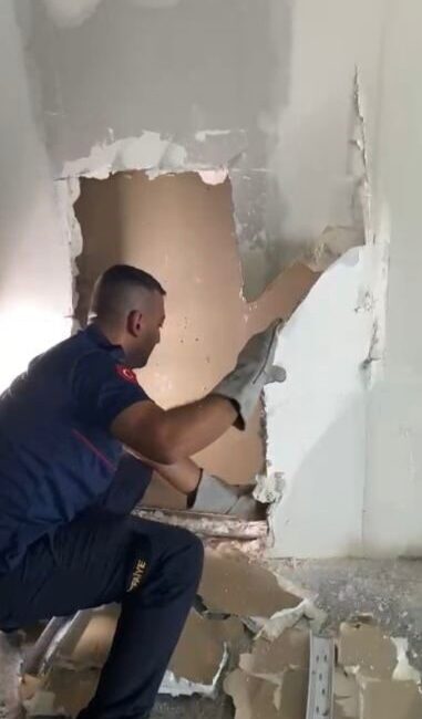 Osmaniye’de alçı panel duvarın içine sıkışan yavru kedi, itfaiye ekiplerince