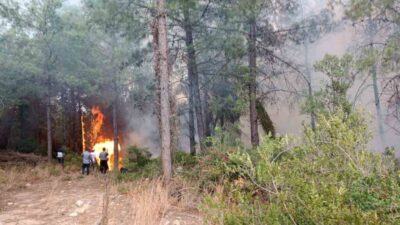 Osmaniye’nin Sumbas ilçesinde orman yangını başladı. Edinilen bilgiye göre Sumbas
