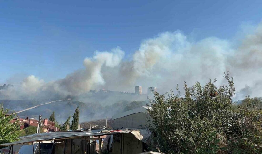 Otluk alanda çıkan yangın, fabrikaları ve villayı tehdit etti Tekirdağ’ın Çerkezköy ilçesinde otluk alanda çıkan yangın, rüzgarın etkisiyle büyüyerek