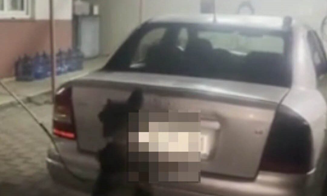 Adana’da bir aracın LPG tankında 4 kilo skunk bulundu, 6