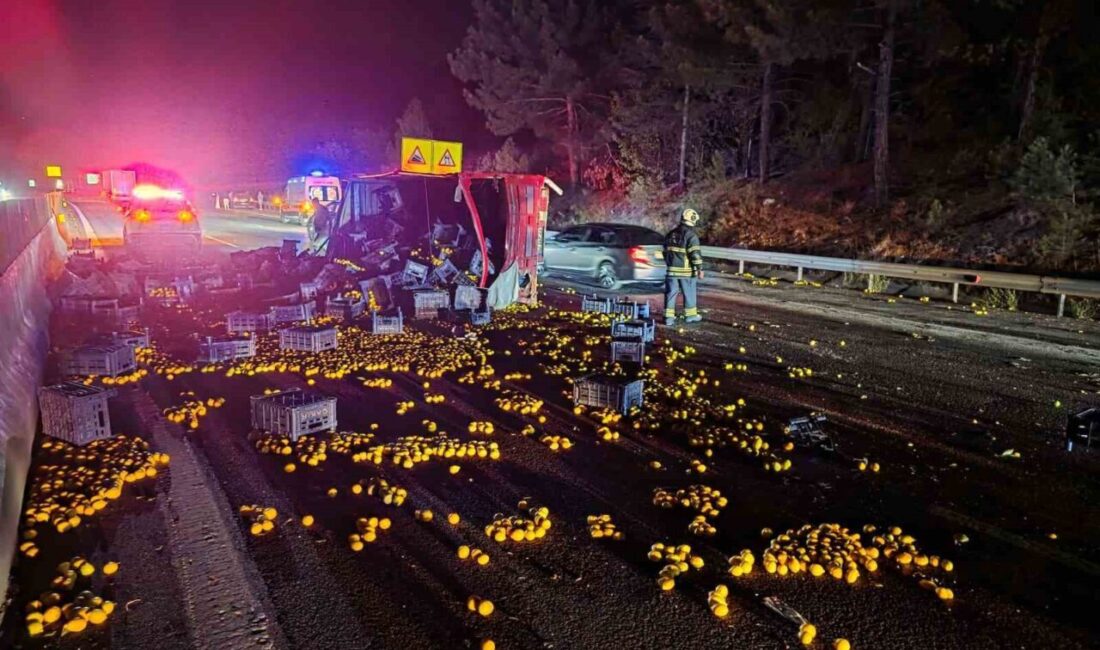 Adana-Pozantı otoyolu Akçatekir mevkiinde 4 aracın karıştığı zincirleme kazada 1