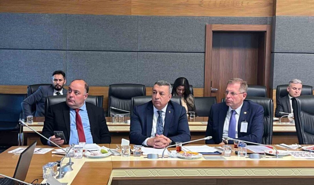 Özcan, “Destek ödemeleri Malatya ekonomisine can suyu olacak” Malatya Ticaret Borsası Yönetim Kurulu Başkanı Ramazan Özcan, Malatya, bölge