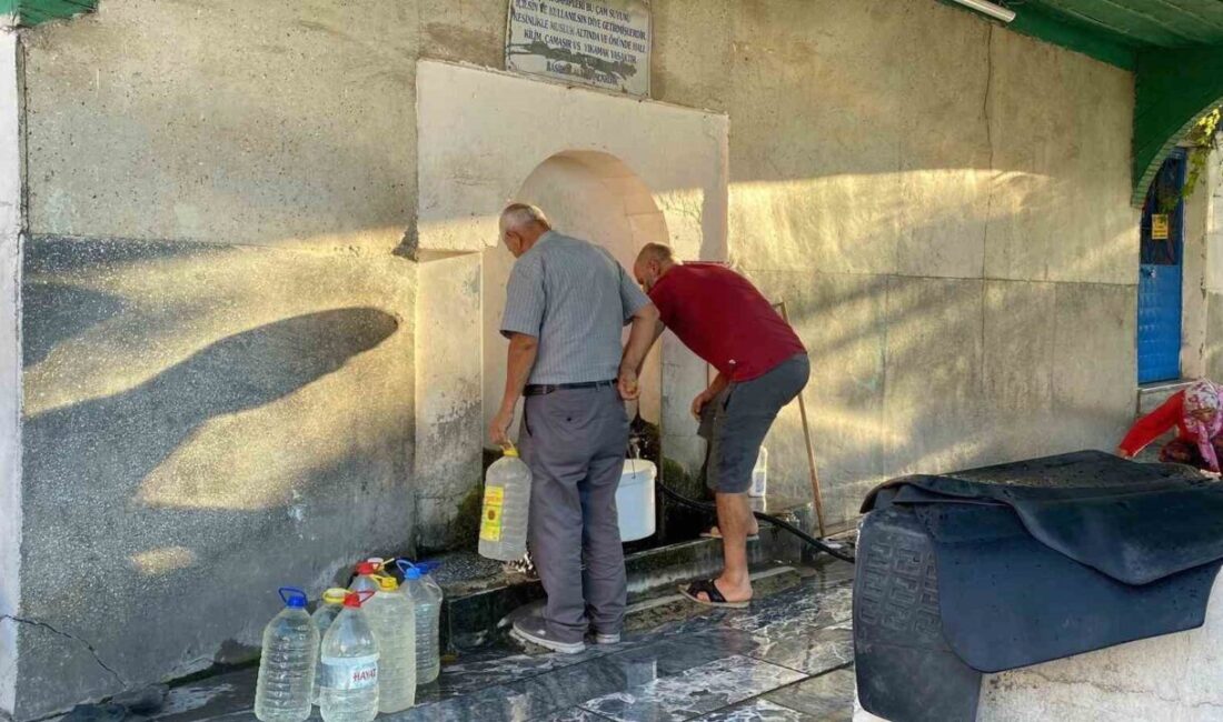 Eskişehir’de vatandaşlar daha ekonomik olması sebebi ile halı ve benzeri