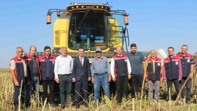 Tokat’ın Pazar ilçesinde 2 bin dekar alanda ekilen ayçiçeğinde başlayan
