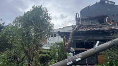 Japonya’da etki gösteren Peipah Tayfunu’nun neden olduğu şiddetli rüzgar ve