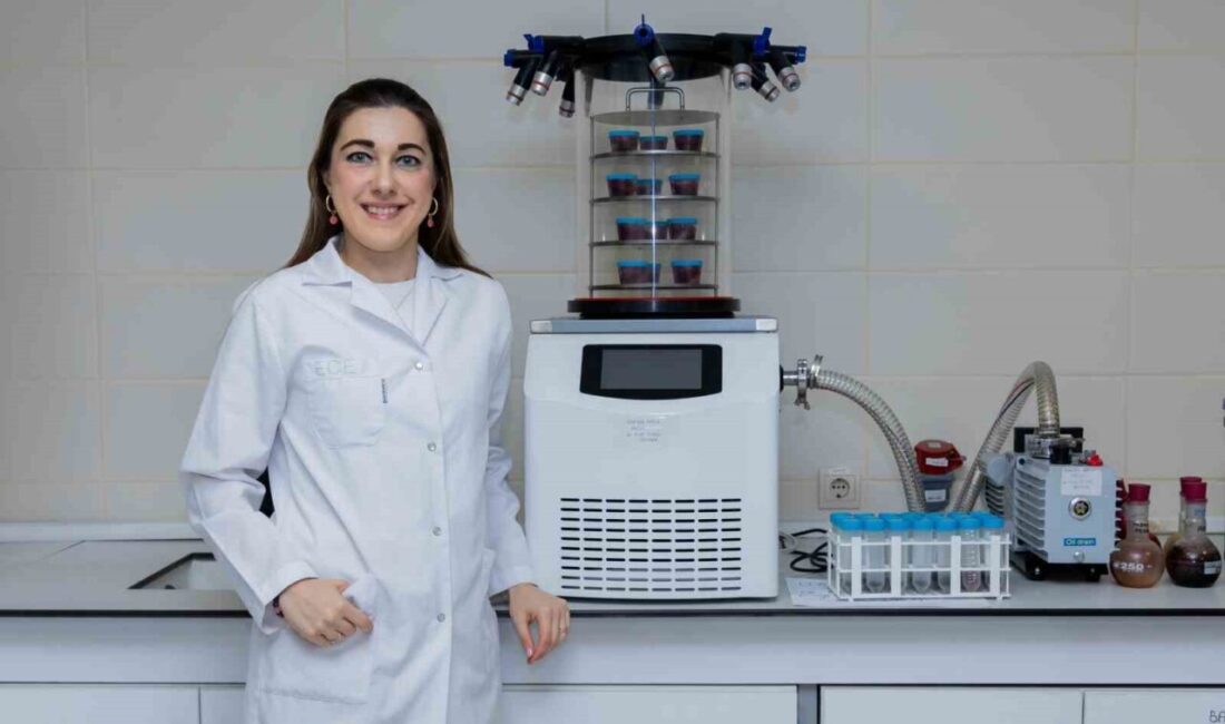 Yapay zeka, gıda işleme teknolojilerinde etkileyici çözümler sağlıyor. Akıllı algoritmalar