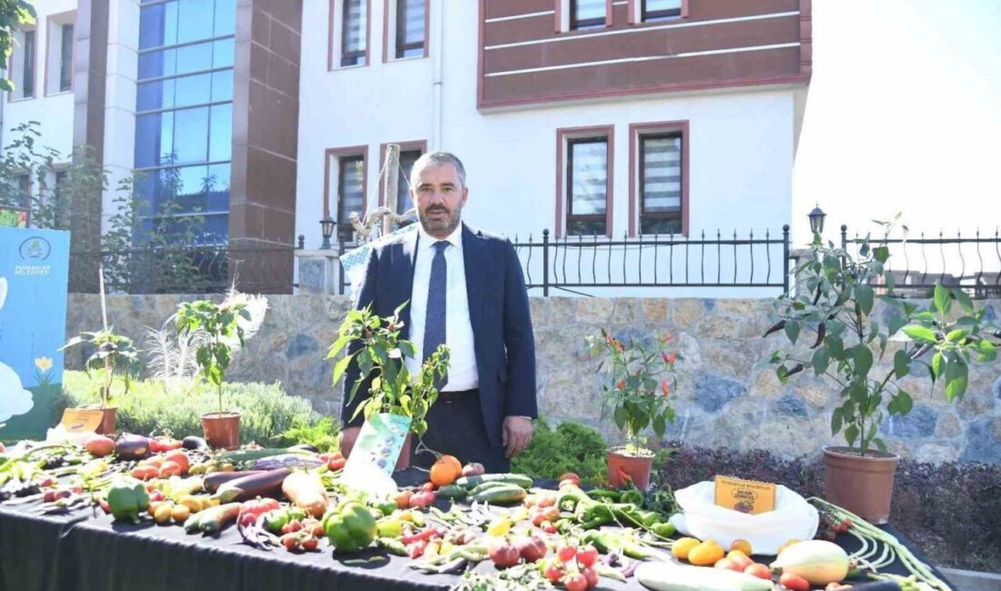 Pursaklar Belediyesi, tarımsal üretimi desteklemek ve teşvik etmek amacıyla Ata