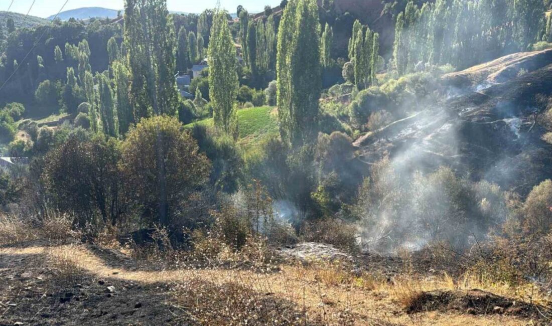 Pütürge’de bahçe yangını korkuttu Malatya’nın Pütürge ilçesinde bir bahçede çıkan yangın, itfaiye ekipleri tarafından