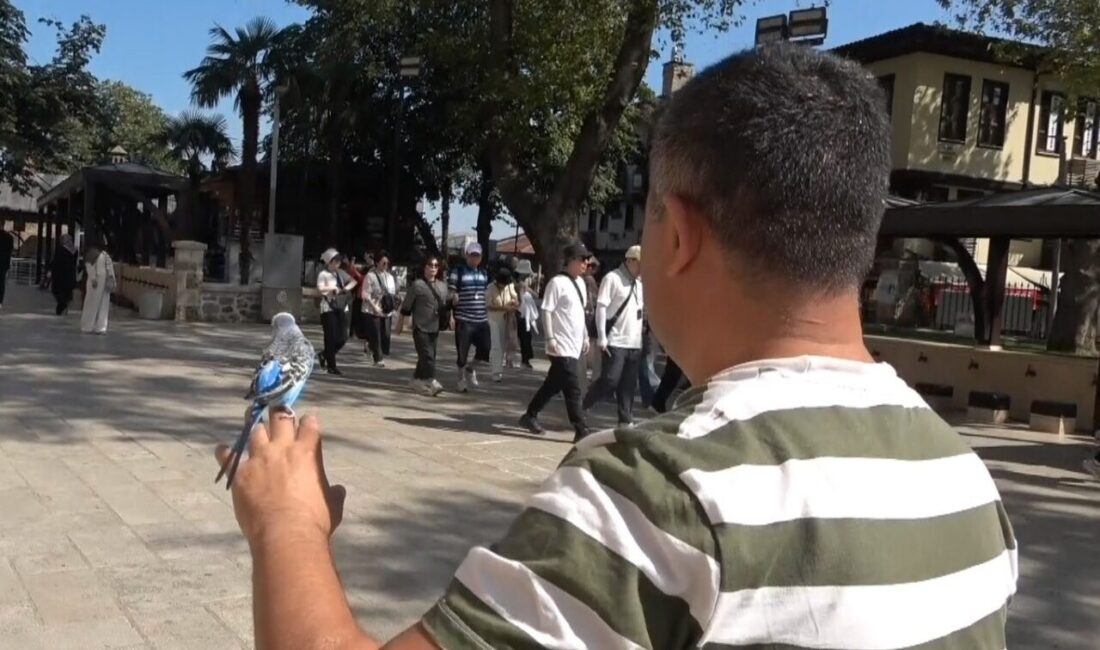 Bursa’da sahibinin omzunda ve elinde kapalı çarşıyı dolaşan muhabbet kuşu,