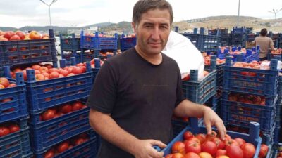 Bilecik’te kış hazırlıkları yapan vatandaşlar salçalık domates almak için pazarın