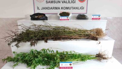 Samsun’da jandarma tarafından düzenlenen uyuşturucu operasyonunda 2 kg 355 gram