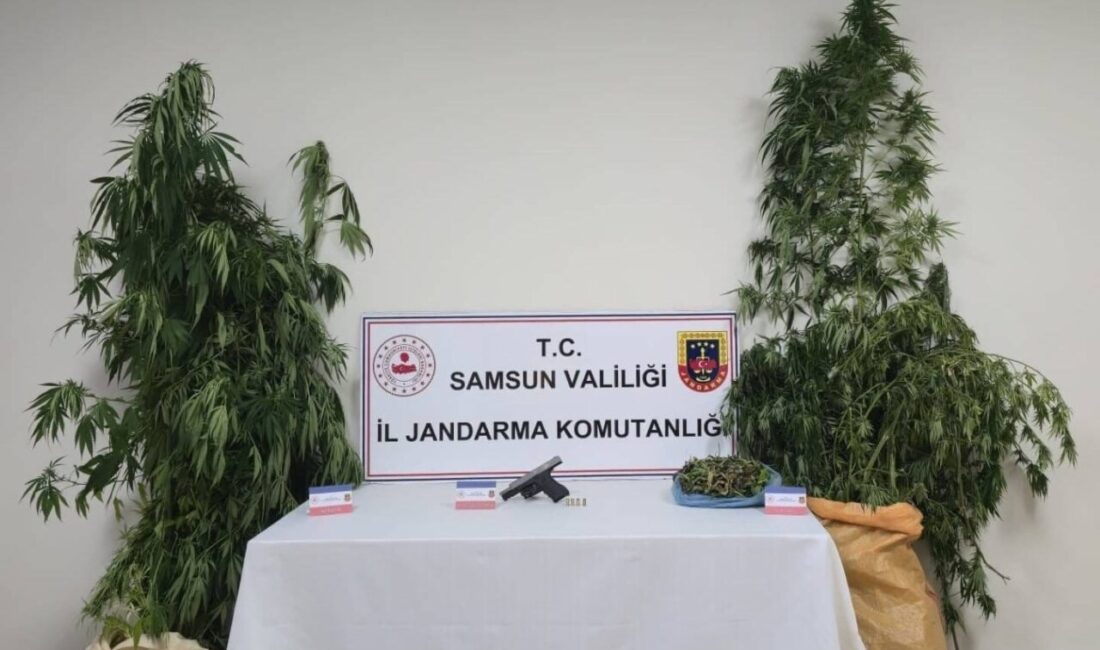 Samsun’da uyuşturucuya 2 gözaltı Samsun’da 6 kilo 200 gram kubar esrar maddesi ve kenevir