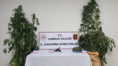 Samsun’da 6 kilo 200 gram kubar esrar maddesi ve kenevir