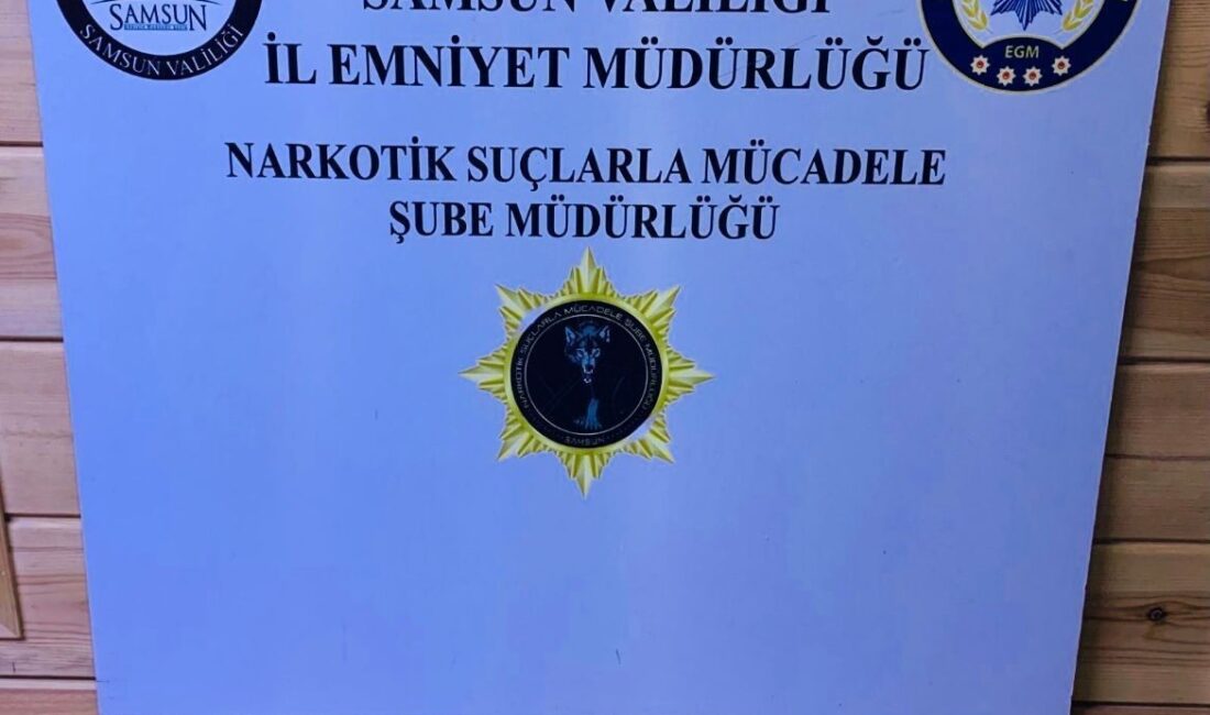 Samsun’un Havza ilçesinde araçta uyuşturucu hammaddesi ile yakalanan 2 kişi